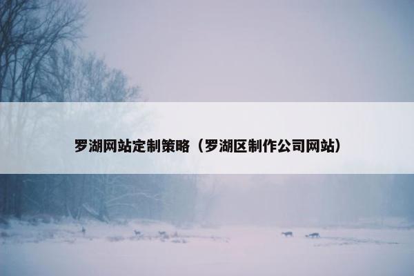 罗湖网站定制策略（罗湖区制作公司网站）