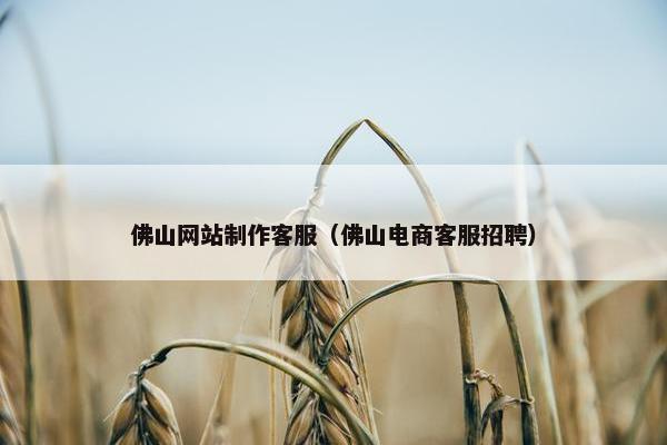 佛山网站制作客服（佛山电商客服招聘）