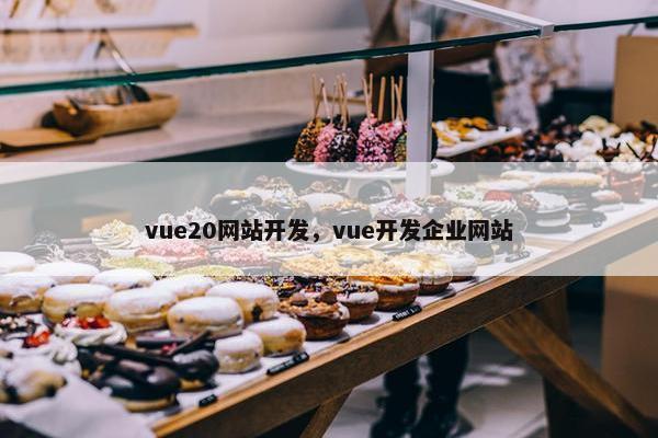 vue20网站开发，vue开发企业网站