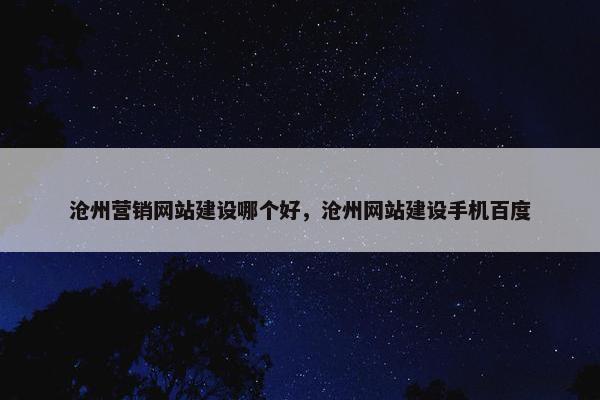 沧州营销网站建设哪个好，沧州网站建设手机百度
