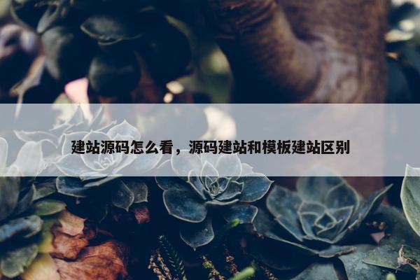 建站源码怎么看，源码建站和模板建站区别