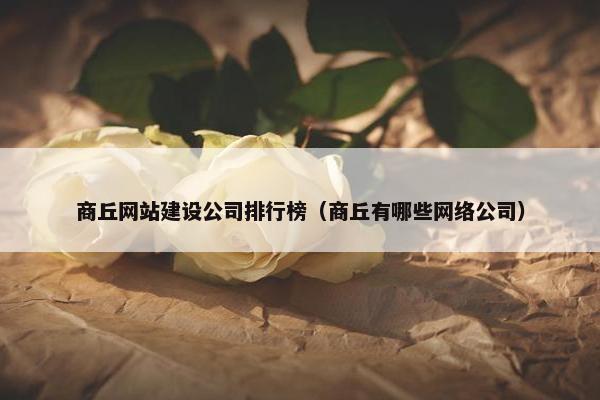 商丘网站建设公司排行榜（商丘有哪些网络公司）