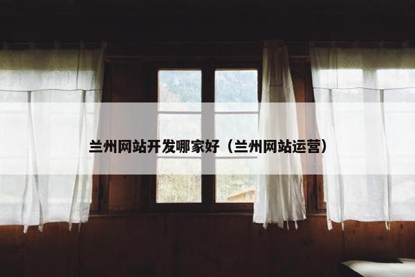 兰州网站开发哪家好（兰州网站运营）