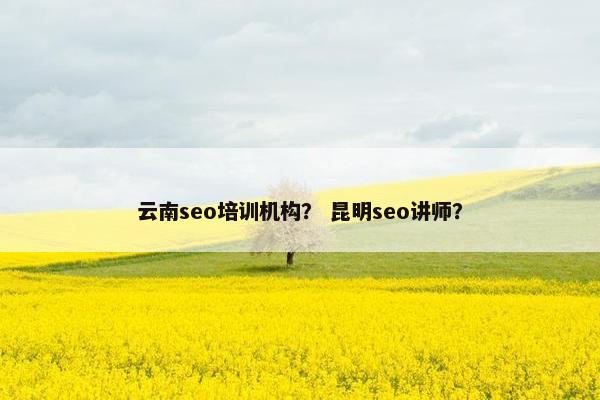 云南seo培训机构？ 昆明seo讲师？