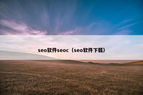 seo软件seoc（seo软件下载）