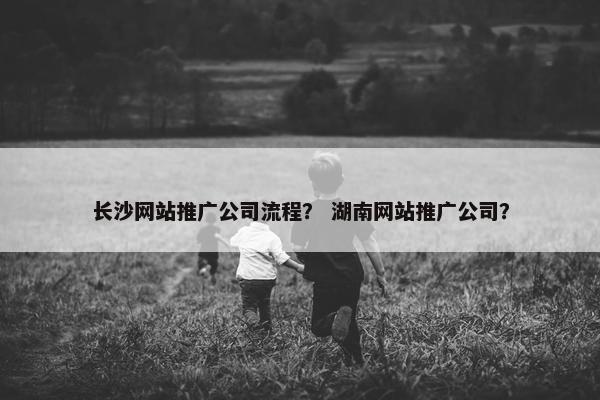 长沙网站推广公司流程？ 湖南网站推广公司？