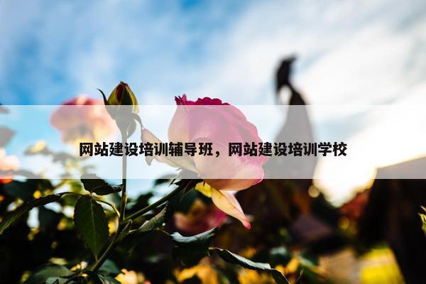 网站建设培训辅导班，网站建设培训学校