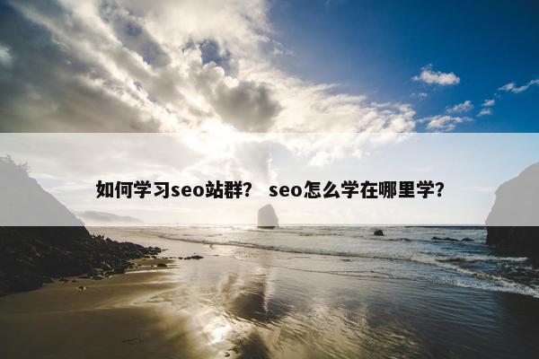 如何学习seo站群？ seo怎么学在哪里学？