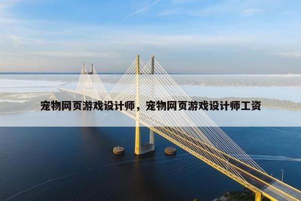 宠物网页游戏设计师，宠物网页游戏设计师工资