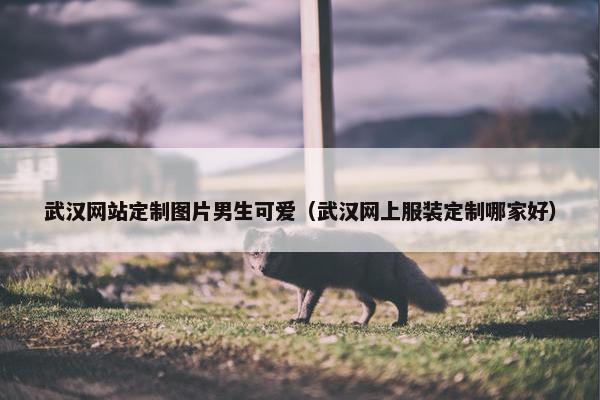 武汉网站定制图片男生可爱（武汉网上服装定制哪家好）