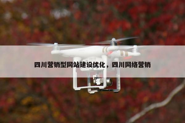 四川营销型网站建设优化，四川网络营销