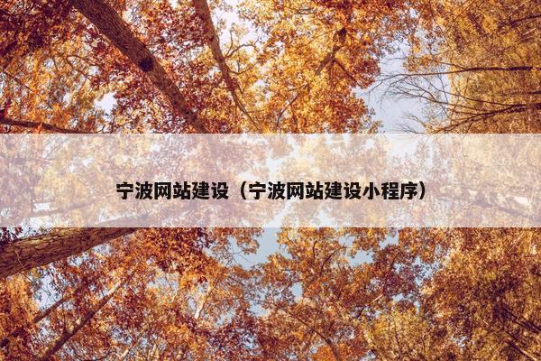宁波网站建设（宁波网站建设小程序）