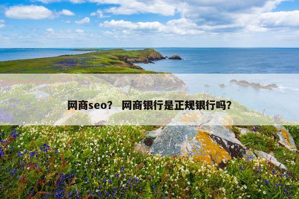 网商seo？ 网商银行是正规银行吗？