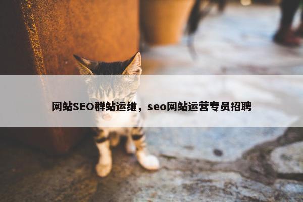 网站SEO群站运维，seo网站运营专员招聘