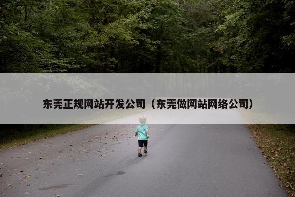 东莞正规网站开发公司（东莞做网站网络公司）