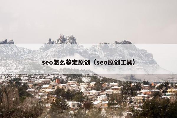seo怎么鉴定原创（seo原创工具）