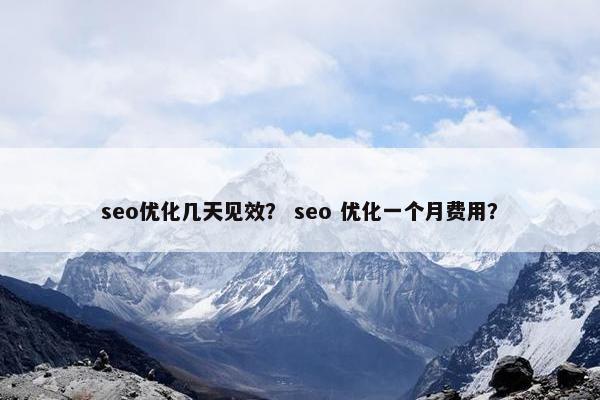 seo优化几天见效？ seo 优化一个月费用？