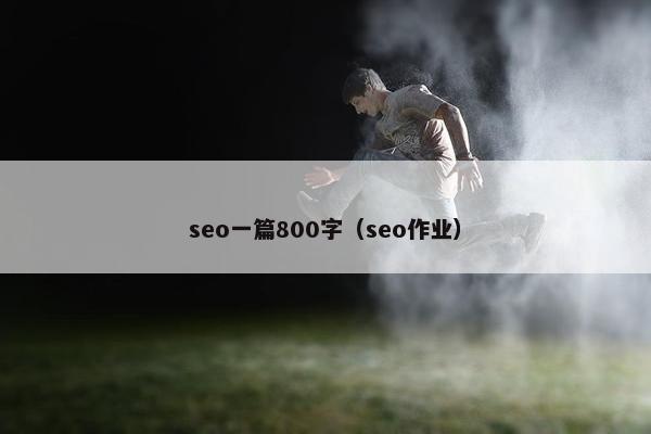 seo一篇800字（seo作业）