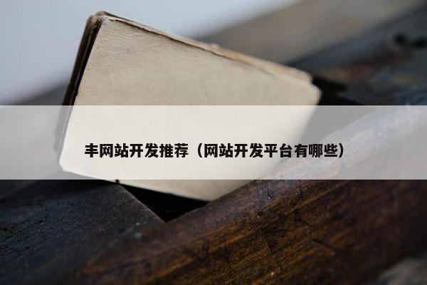 丰网站开发推荐（网站开发平台有哪些）
