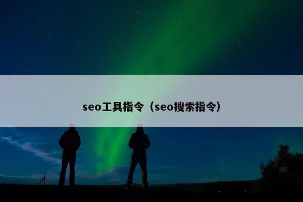 seo工具指令（seo搜索指令）
