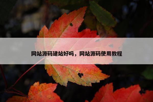 网站源码建站好吗，网站源码使用教程