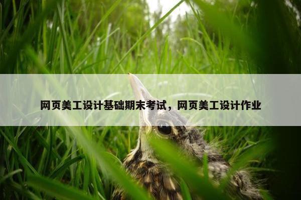 网页美工设计基础期末考试，网页美工设计作业