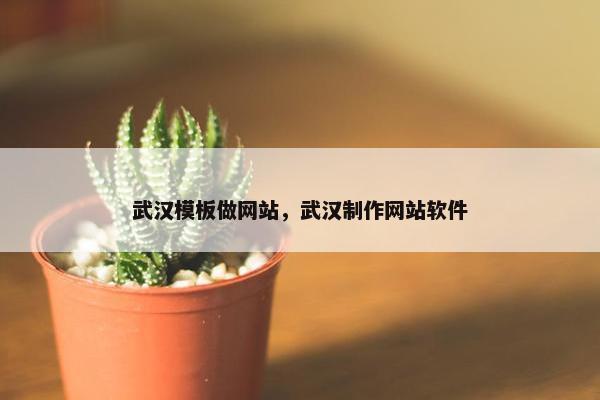 武汉模板做网站，武汉制作网站软件