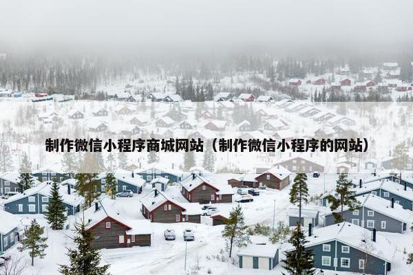 制作微信小程序商城网站（制作微信小程序的网站）