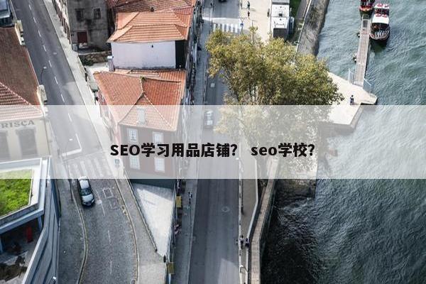 SEO学习用品店铺？ seo学校？