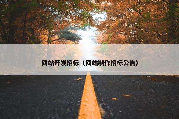 网站开发招标（网站制作招标公告）