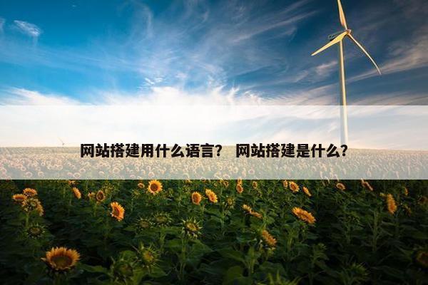 网站搭建用什么语言？ 网站搭建是什么？