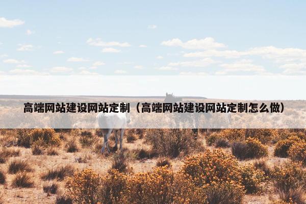 高端网站建设网站定制（高端网站建设网站定制怎么做）