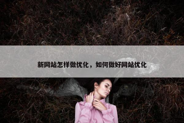 新网站怎样做优化，如何做好网站优化