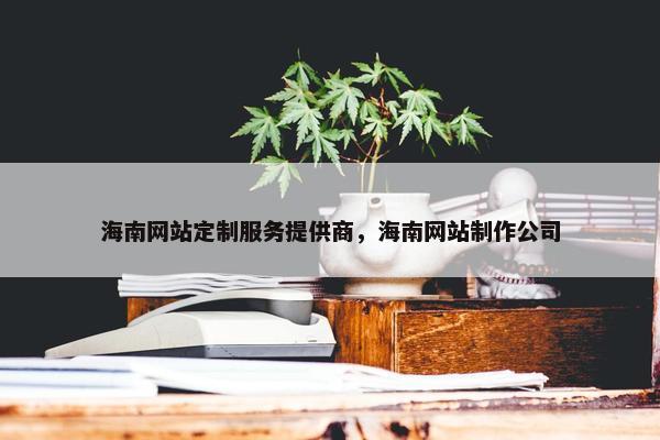 海南网站定制服务提供商，海南网站制作公司