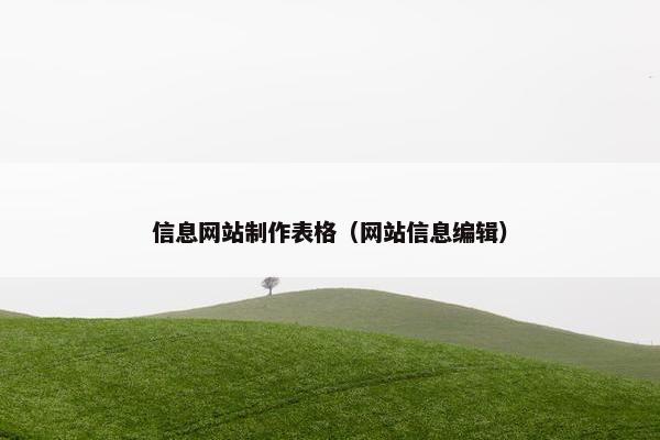 信息网站制作表格（网站信息编辑）