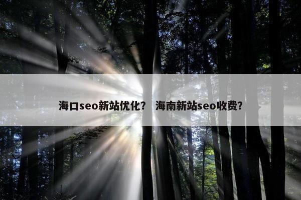 海口seo新站优化？ 海南新站seo收费？