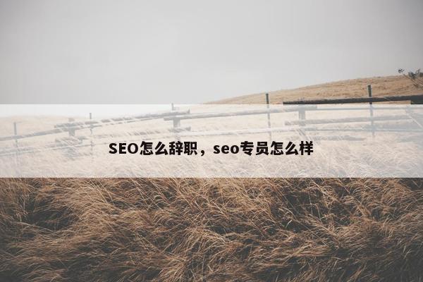 SEO怎么辞职，seo专员怎么样
