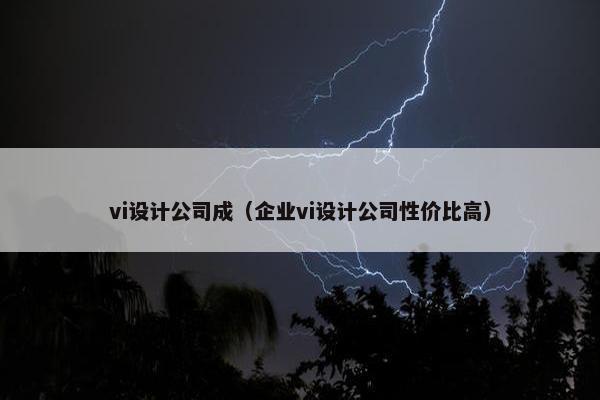 vi设计公司成（企业vi设计公司性价比高）
