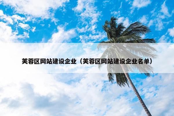 芙蓉区网站建设企业（芙蓉区网站建设企业名单）