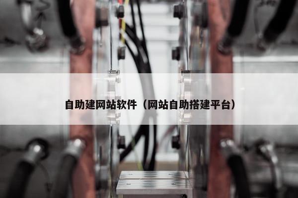 自助建网站软件（网站自助搭建平台）