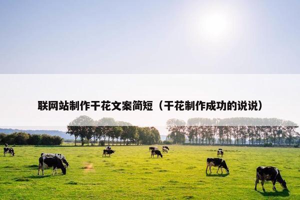 联网站制作干花文案简短（干花制作成功的说说）