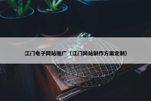 江门电子网站推广（江门网站制作方案定制）