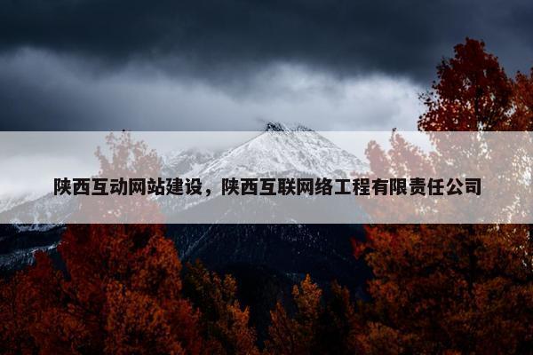 陕西互动网站建设，陕西互联网络工程有限责任公司