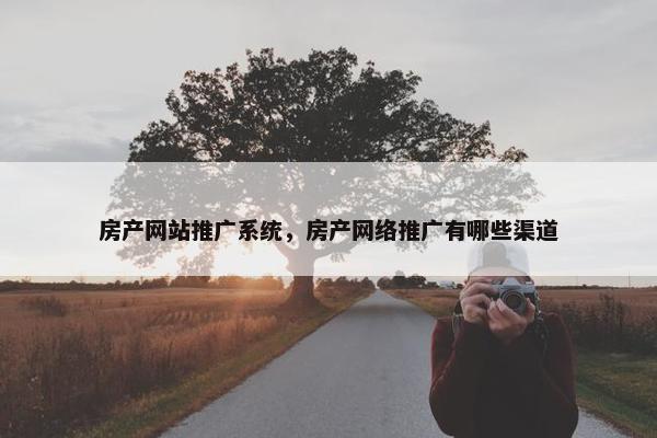 房产网站推广系统，房产网络推广有哪些渠道