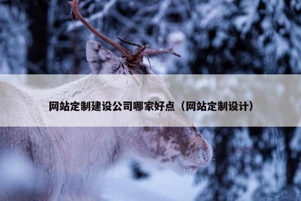 网站定制建设公司哪家好点（网站定制设计）