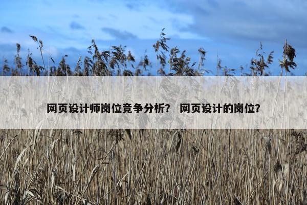 网页设计师岗位竞争分析？ 网页设计的岗位？