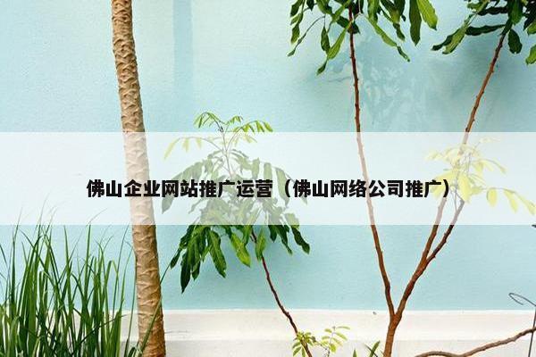 佛山企业网站推广运营（佛山网络公司推广）