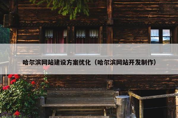 哈尔滨网站建设方案优化（哈尔滨网站开发制作）