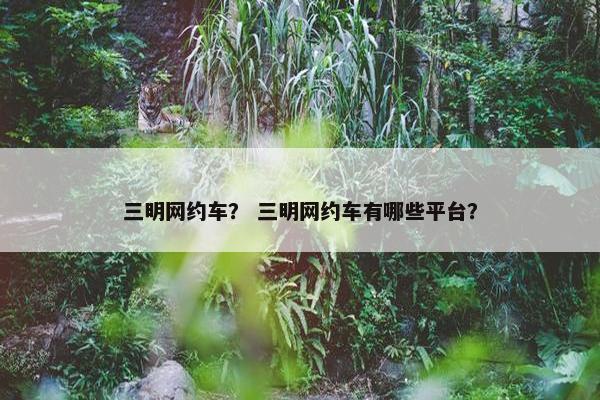 三明网约车？ 三明网约车有哪些平台？