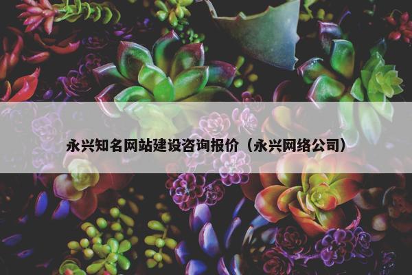 永兴知名网站建设咨询报价（永兴网络公司）